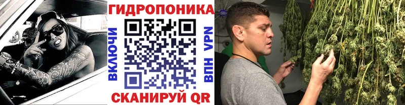 где можно купить   Томилино  Марихуана план 